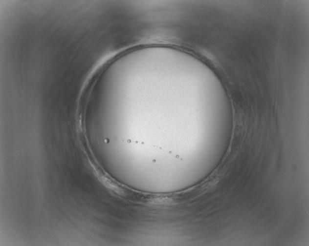 X0000054421462200508121739