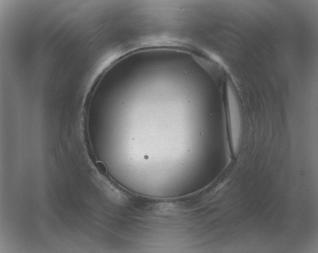 X0000054421463200508121739