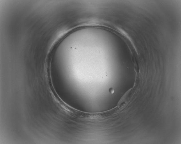 X0000054421464200508121739