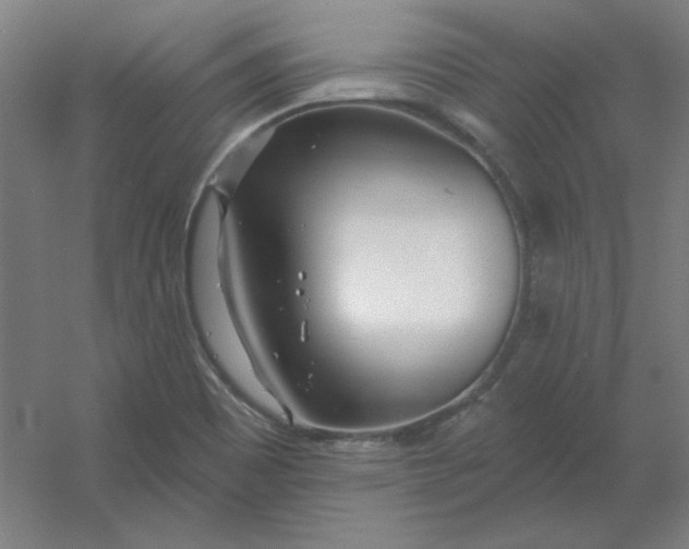 X0000054421465200508121739