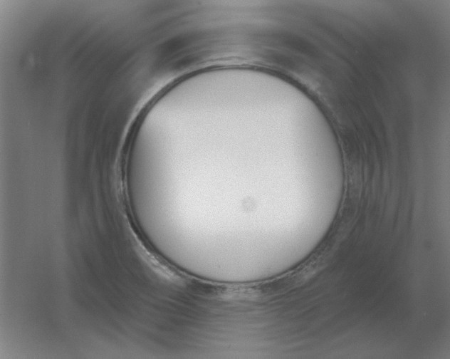 X0000054421466200508121739