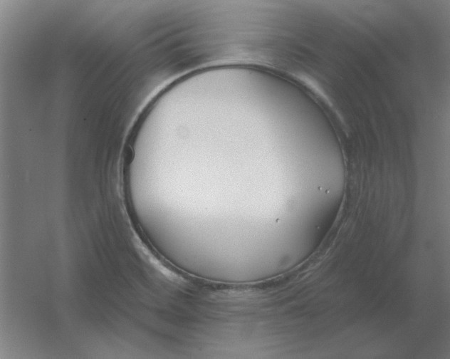 X0000054421468200508121738