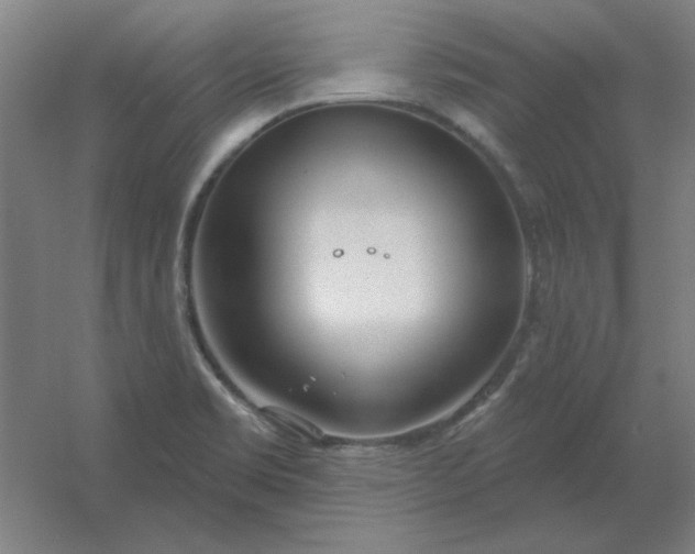 X0000054421469200508121738