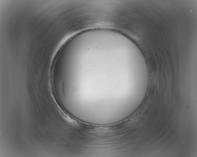 X0000054421470200508121738