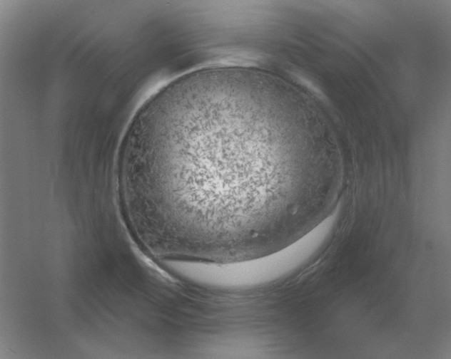 X0000054421471200508121738