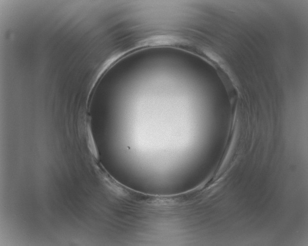 X0000054421473200508121738