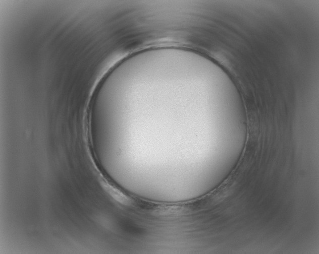 X0000054421474200508121738