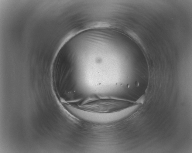 X0000054421475200508121738