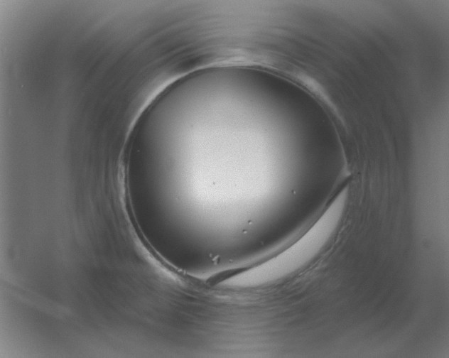 X0000054421476200508121738