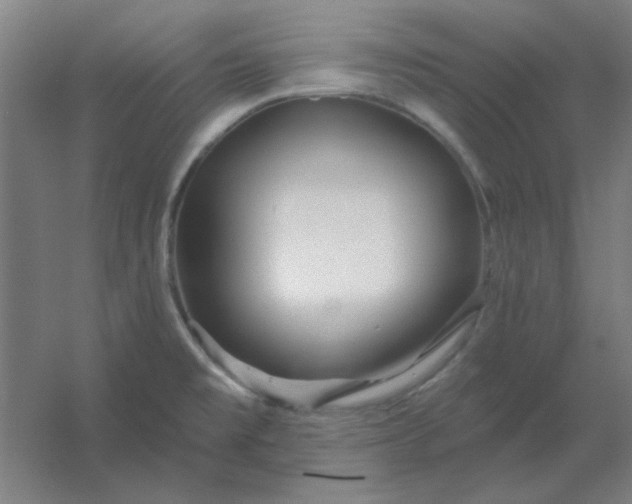 X0000054421477200508121738