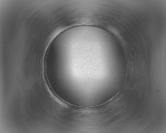 X0000054421479200508121738