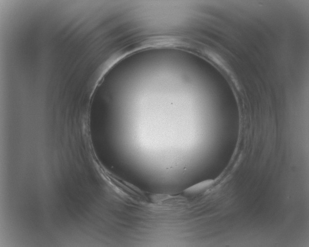 X0000054421481200508121738