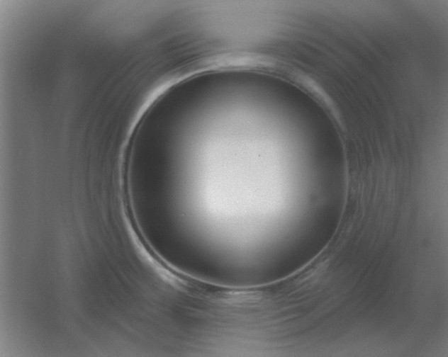 X0000054421483200508121738