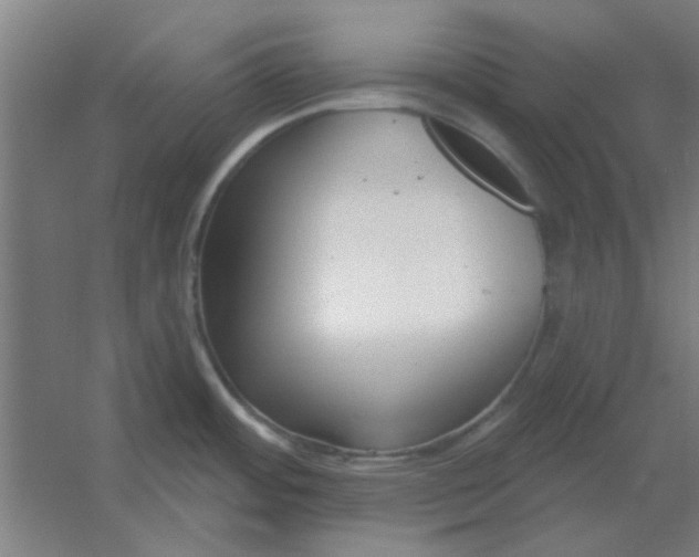 X0000054421484200508121738