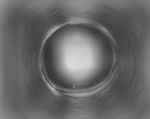 X0000054421485200508121738