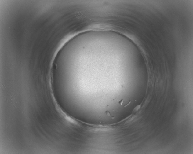 X0000054421486200508121738