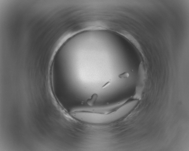 X0000054421488200508121738