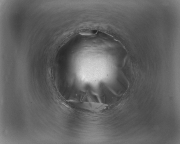 X0000054421489200508121737