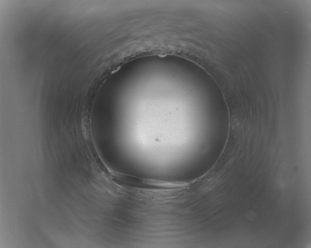 X0000054421490200508121737