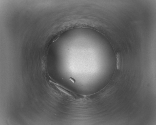 X0000054421491200508121737