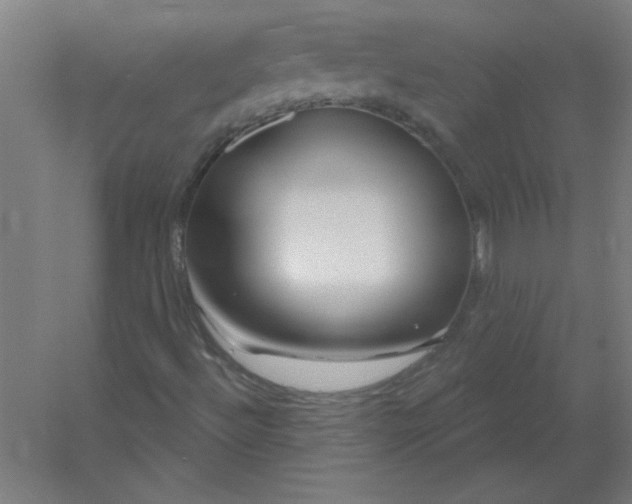 X0000054421492200508121737