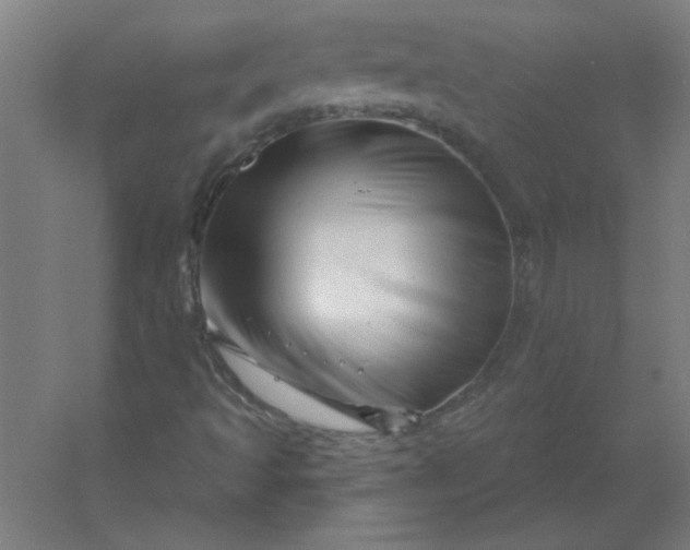 X0000054421493200508121737