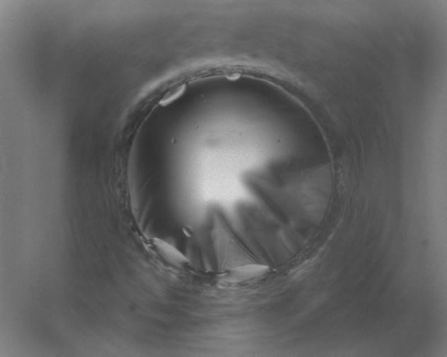 X0000054421494200508121737