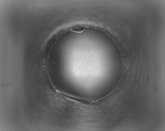 X0000054421495200508121737