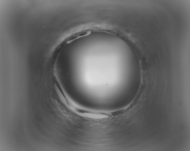 X0000054421496200508121737