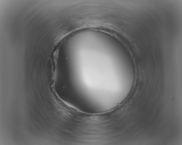 X0000054421497200508121737