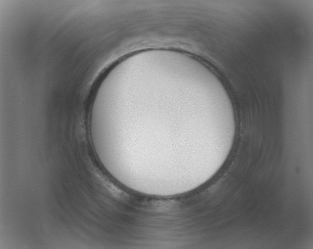 X0000054421498200508121737