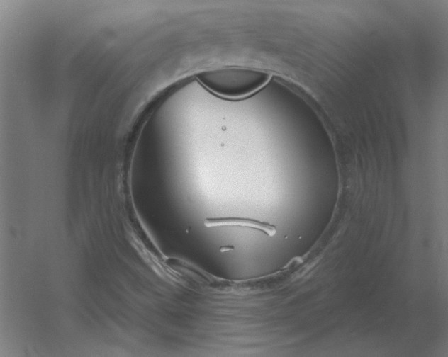 X0000054421499200508121738