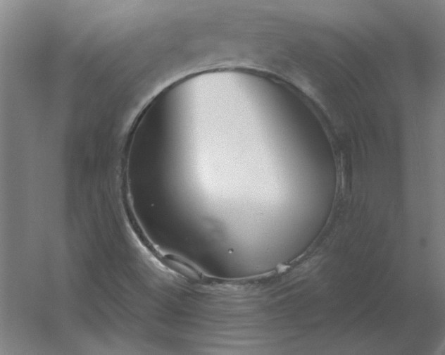 X0000054421500200508121738