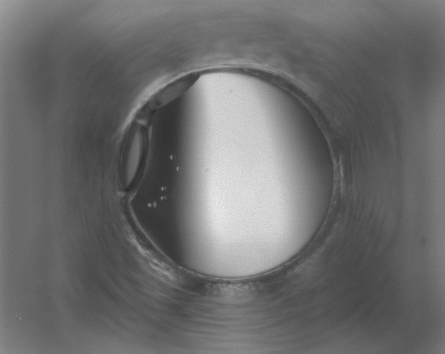 X0000054421501200508121738