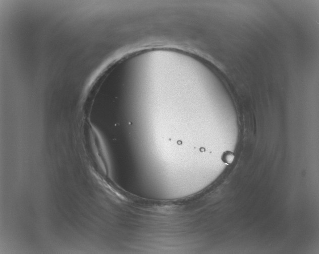 X0000054421502200508121738