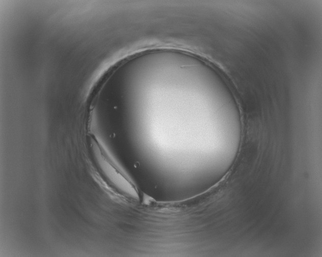 X0000054421503200508121738