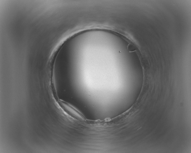 X0000054421504200508121738