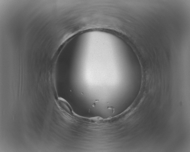 X0000054421505200508121738