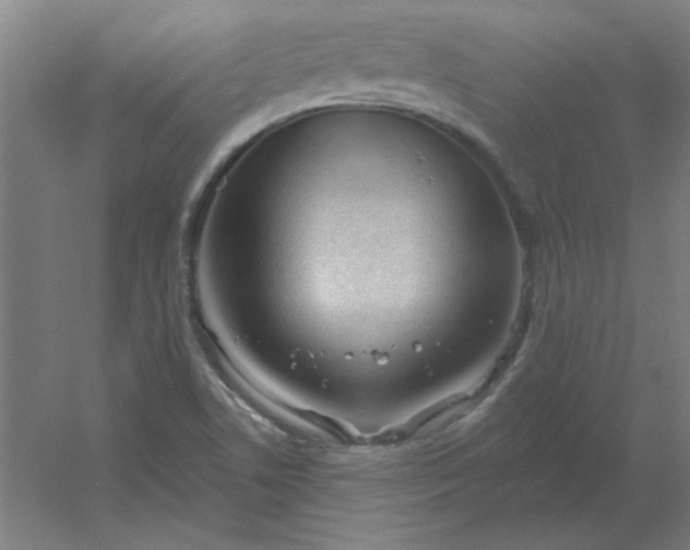 X0000054421506200508121738