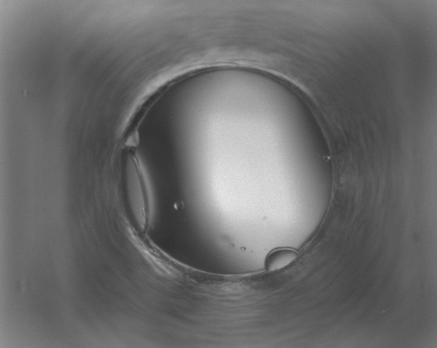 X0000054421507200508121738