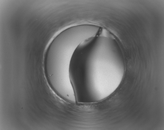 X0000054421508200508121738