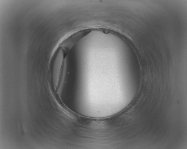 X0000054421509200508121738