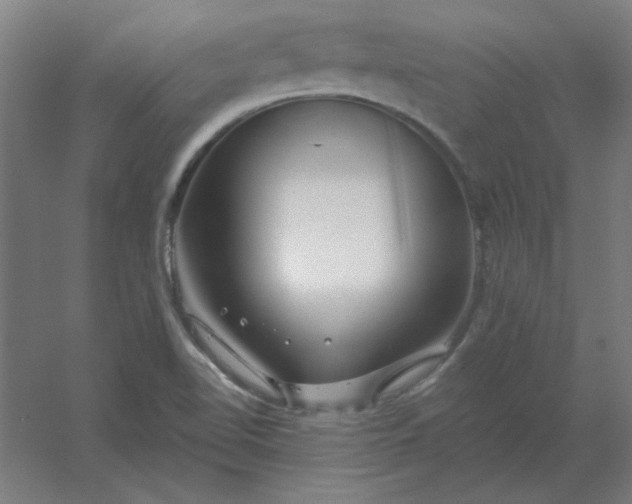 X0000054421510200508121738