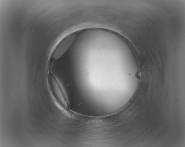 X0000054421511200508121738