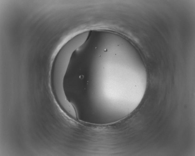 X0000054421512200508121738