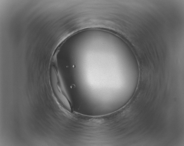 X0000054421513200508121738