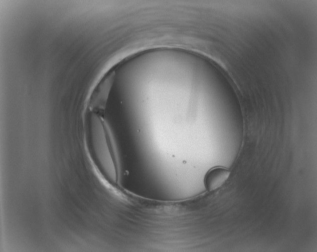 X0000054421515200508121738