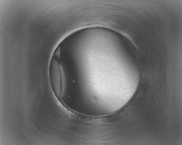 X0000054421516200508121738