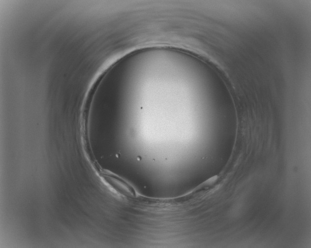 X0000054421517200508121738