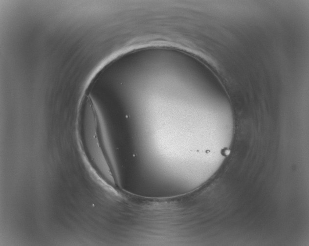 X0000054421518200508121738